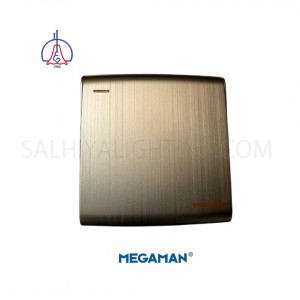 Switch Megaman 1Gang 2Way -Gold Color
