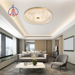LED Acrylic Ceiling Light 24W Dia350 - Gold