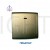 Switch c/w Neon Megaman 1Gang 1Way - 20A DP - Gold Color