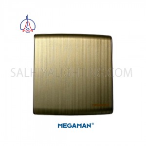 Blank Panel Megaman -Gold Color