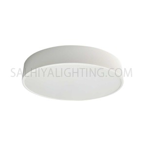LED Ceiling Light 12W Dia25 - Cool White (4000K)